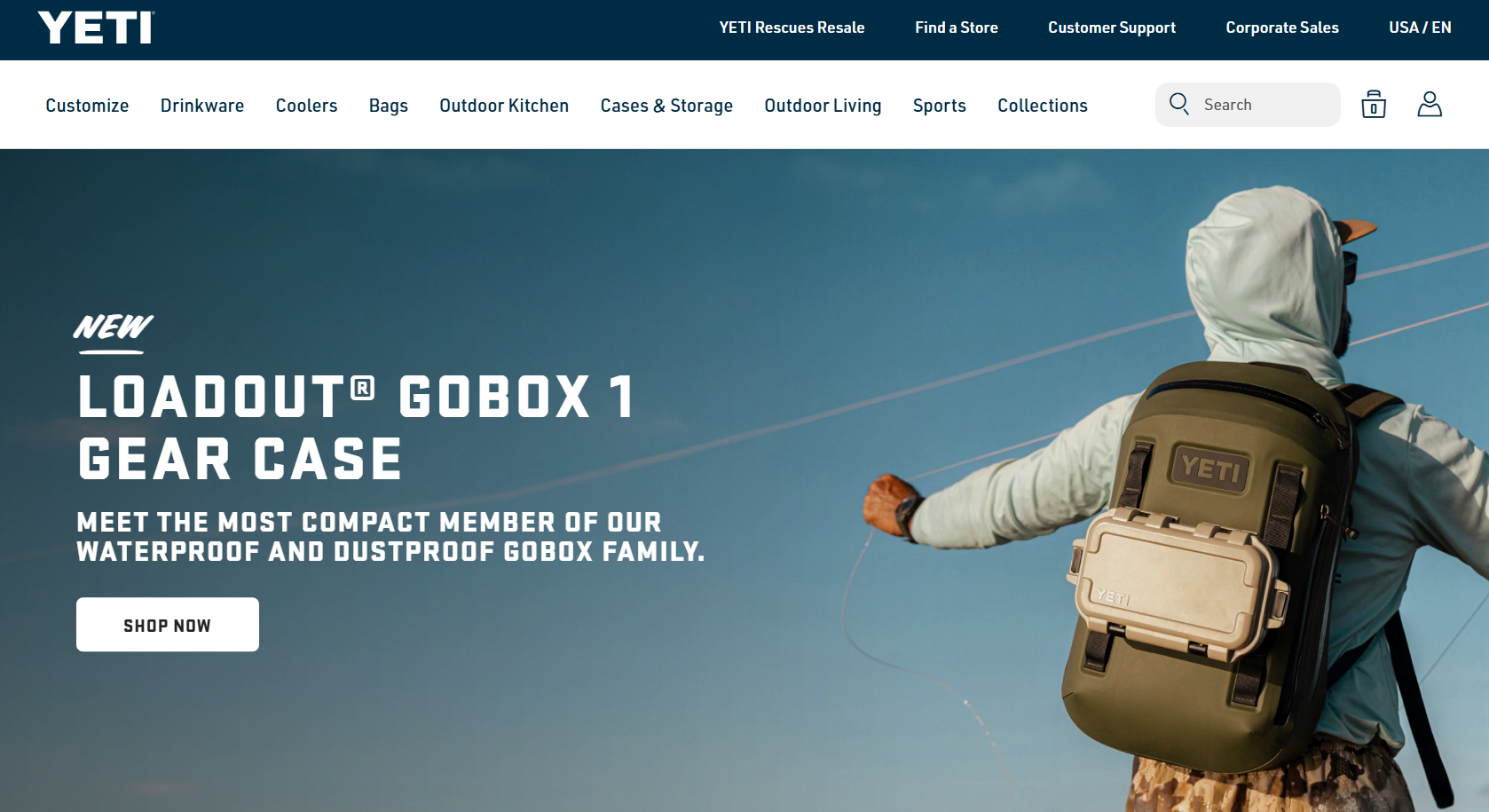 Business case study infographic